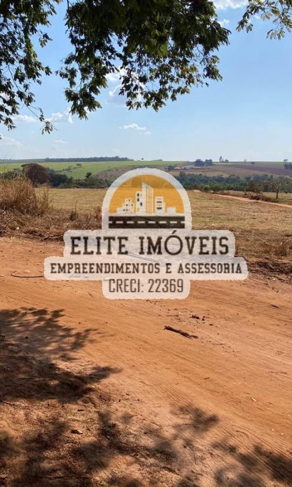 Casa - Paturis - Pederneiras